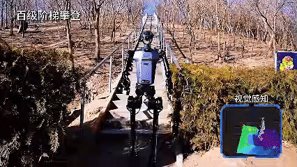 Humanoid Robot Half Marathon: My Son Was Amazed, While Mom Was Exhausted Yet Still Running?