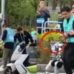 Humanoid Robot Half Marathon: My Son Was Amazed, While Mom Was Exhausted Yet Still Running?