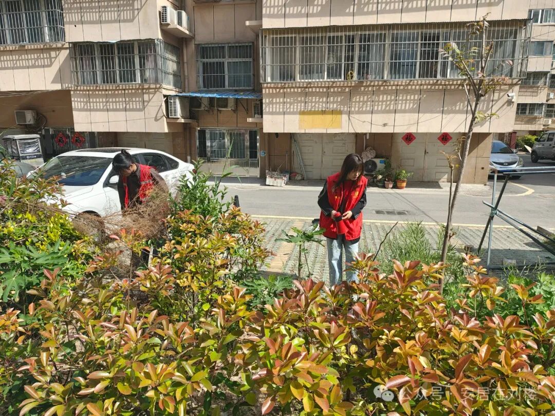 Embedded Services: Strengthening Security Networks through Poppy Inspections