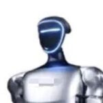 Is There a Need for Humanoid Robots?