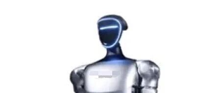 Is There a Need for Humanoid Robots?