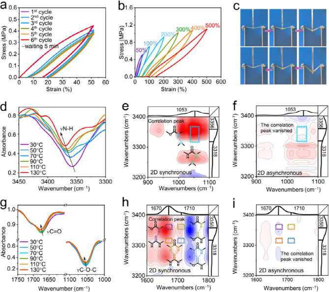 Fatigue-Free and Skin-like Supramolecular Ion-Conductive Elastomeric Interphases for Stable Lithium Metal Batteries