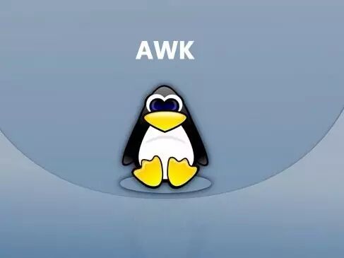 Detailed Explanation of the Linux awk Command