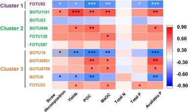 Regulation of Soil Organic Carbon Physical Fraction Sequestration by Phosphorus Fertilizer Input Level through Microbial Community Influence