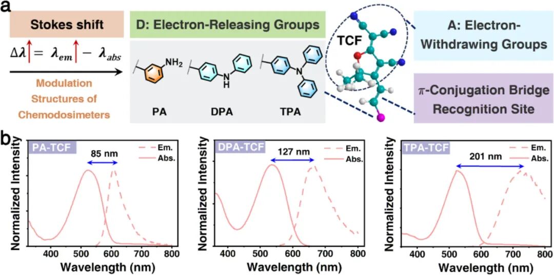 Triple-Standard Hypochlorite Quantitative Array Enabled by Precise Stokes Shift Modulation in D-π-A Chemodosimeters