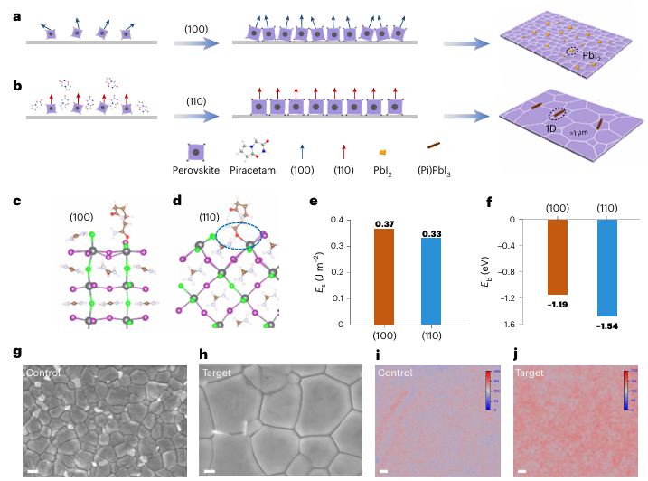 Latest Research from Wuhan University: Piracetam Shapes Wide Bandgap Perovskite Crystals for Scalable Perovskite Tandems