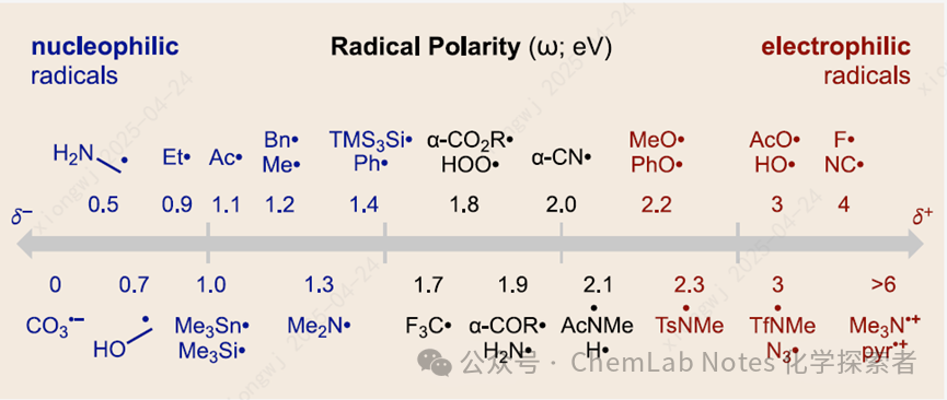 The Latest and Most Comprehensive Study on the Polarity of Free Radical Intermediates