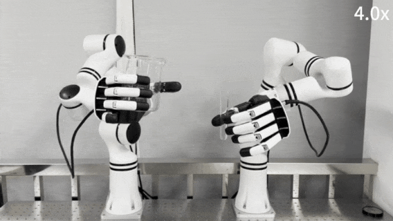 Can Robots Squeeze Toothpaste? ManipTrans: Efficient Transfer of Human Hand Skills to Dexterous Hands