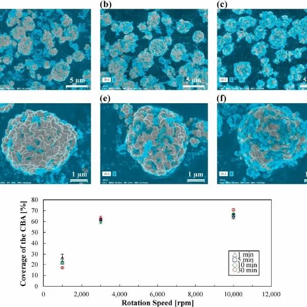 Fatigue-Free and Skin-like Supramolecular Ion-Conductive Elastomeric Interphases for Stable Lithium Metal Batteries