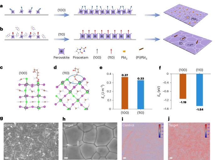 Wuhan University Research Published in Nature Nanotechnology!