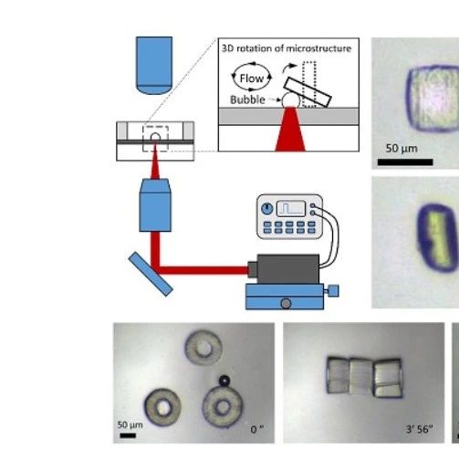 Exploring the Potential of Micro Robots