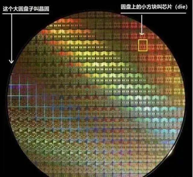 From Food Preservation to Semiconductor Manufacturing: This Company in Xinzhuang Makes Everything 'Vacuum'!