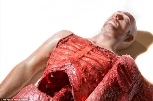 3D Printed Human Models for Surgical Training
