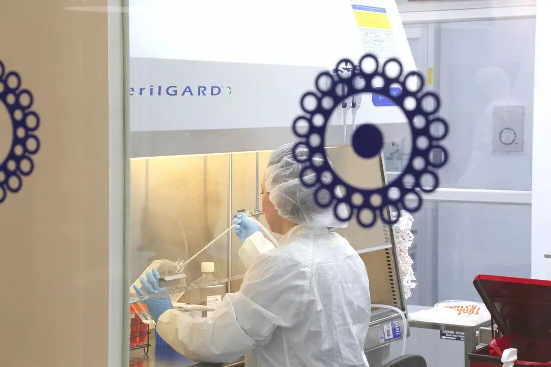 Successful 3D Printing of Cartilage Tissue Brings Humanity Closer to Immortality!