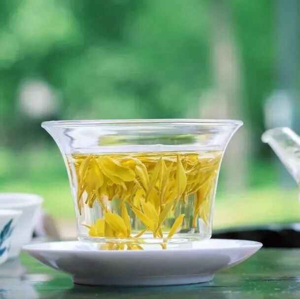 The Rising Star of the Tea Industry: How Guangyuan Yellow Tea Takes Center Stage