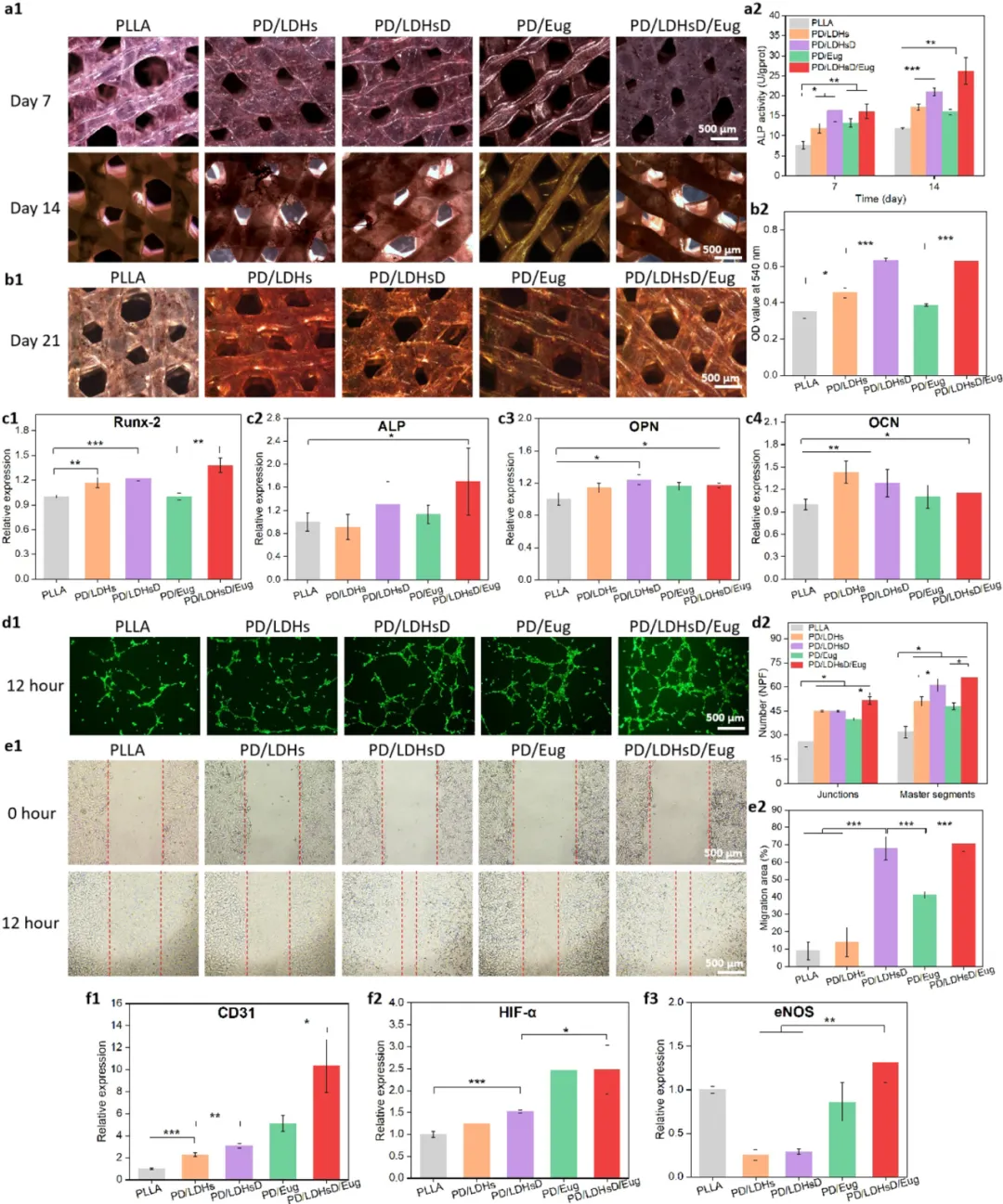 Professor Luo Binghong's Team from Jinan University Publishes in ACS Nano: Multifunctional 3D Printed Scaffolds with Spatiotemporal Drug Release Functions for Bone Regeneration