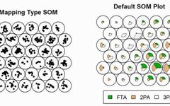 Self-Organizing Maps (SOM): Unlocking the Topological Structure and Clustering Analysis of High-Dimensional Data