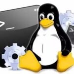 Useful Tricks in the Linux Shell