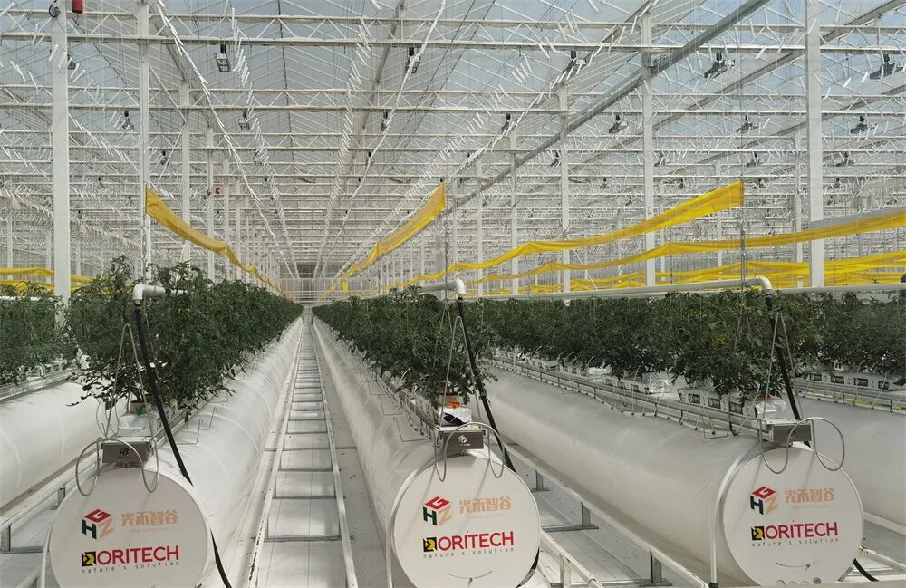 Intelligent Plant Factory in Haining Utilizing AI and Robotics!