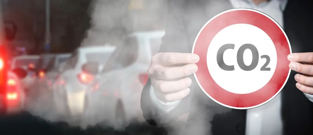 Understanding Carbon Neutrality and Its Implications for Climate Change