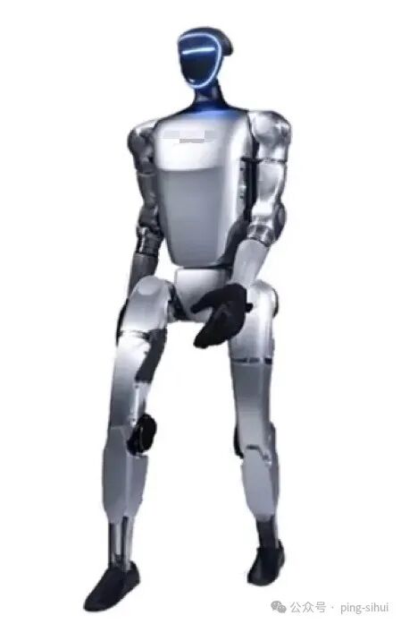 Is There a Need for Humanoid Robots?