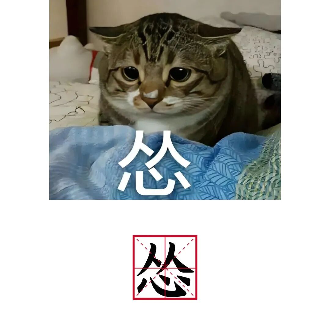 The Surprising Pronunciation of the Character '怂': What Should It Be?