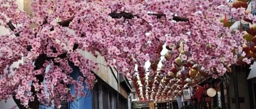 Linux | Commands to Check File (Compressed) Size