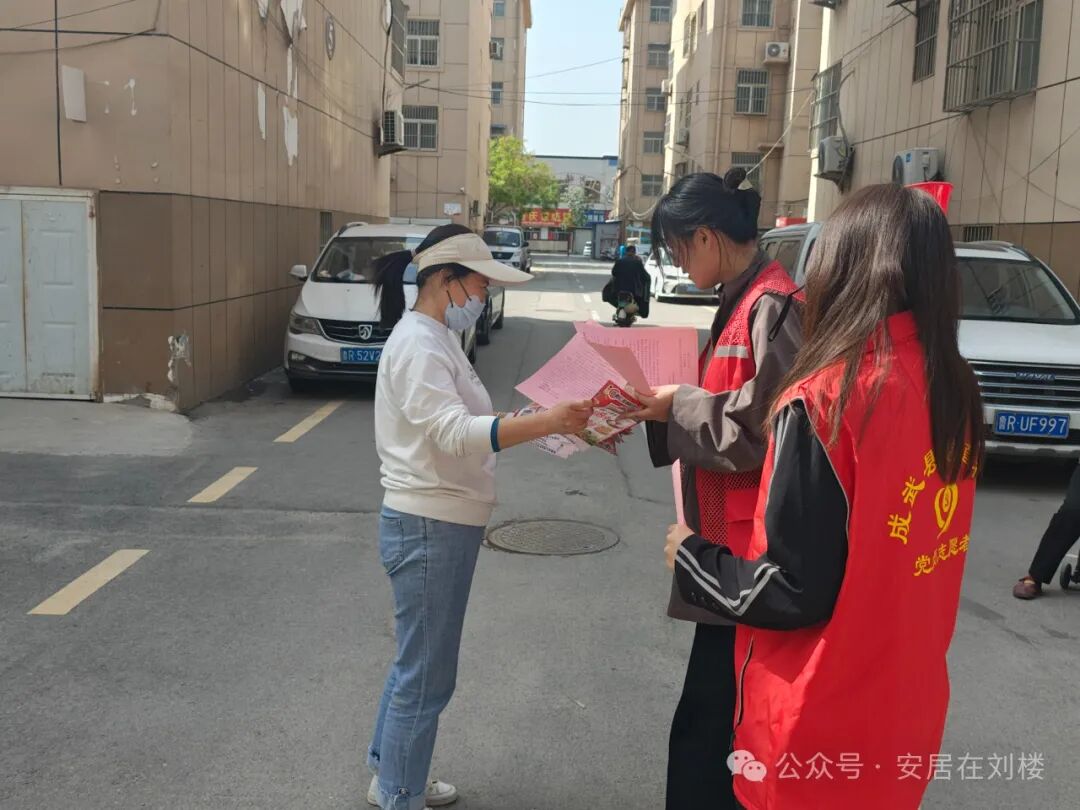 Embedded Services: Strengthening Security Networks through Poppy Inspections