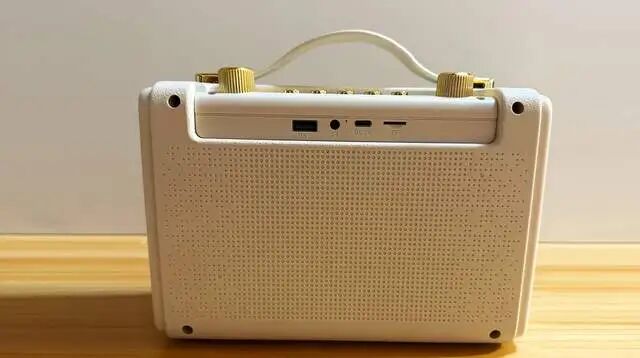 Oudiobop TG1 Bluetooth Speaker: Standard Wireless Microphone with Karaoke Function and Colorful Lighting Effects