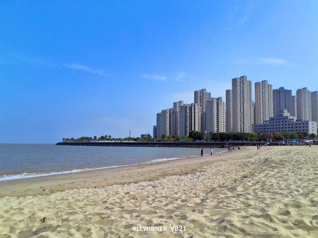 Allwinner Technology Takes the Lead