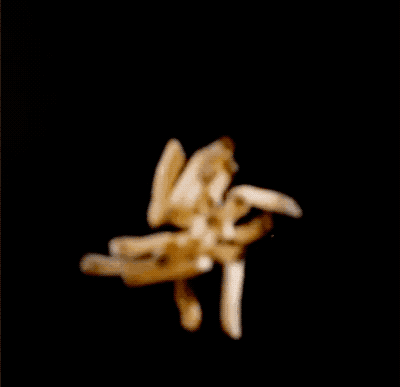 The Flying Food in Advertisements is Not Computer Graphics: Military Equipment Used in the Filming Process