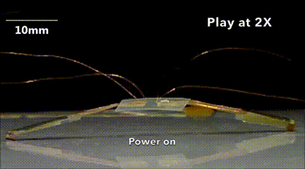 University of Pittsburgh's Miniature "Insect" Robot: Amphibious and Capable of Performing Tasks in Tight Spaces