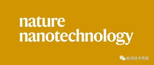 Wuhan University Research Published in Nature Nanotechnology!