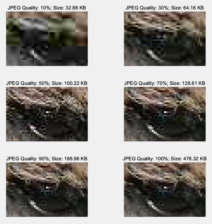 How to Implement JPEG Compression Storage in Matlab?