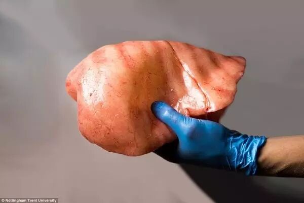 3D Printed Human Models for Surgical Training