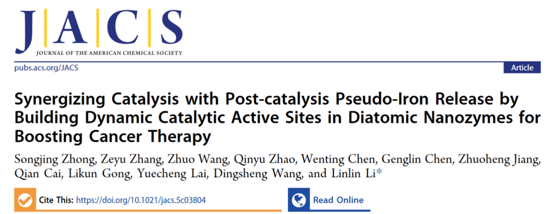 Synergizing Catalysis with Post-catalysis Pseudo-Iron Release by Building Dynamic Catalytic Active Sites in Diatomic Nanozymes for Boosting Cancer Therapy