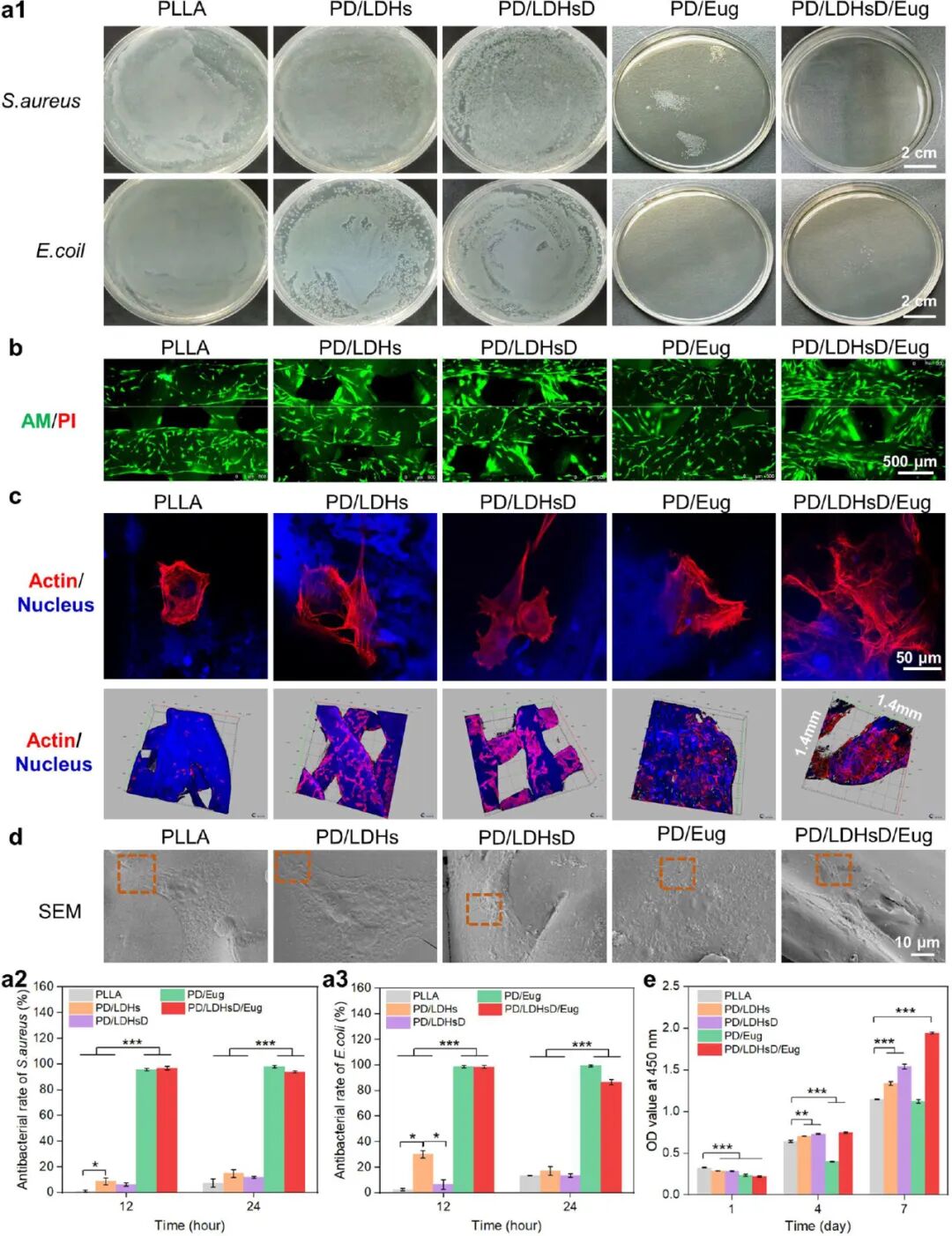 Professor Luo Binghong's Team from Jinan University Publishes in ACS Nano: A Multifunctional 3D Printed Scaffold with Spatiotemporal Release of Multiple Drugs for Bone Regeneration