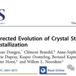 Literature Update: J. Am. Chem. Soc. | Achieving Enantiomer Purification through Directed Evolution of Crystal Stability and Non-Equilibrium Crystallization