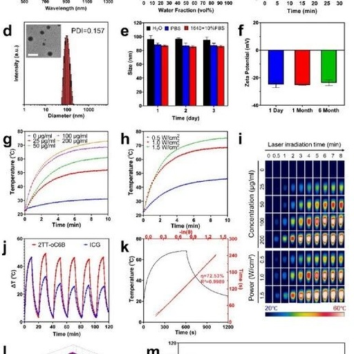 Organic Radiosensitizer with Aggregation-Induced Emission Characteristics for Tumor Ablation through Synergistic Apoptosis and Immunogenic Cell Death
