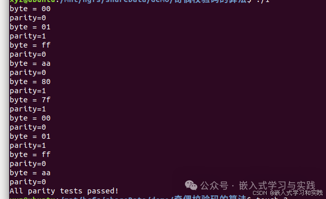 C Language - Algorithm for Parity Check Code