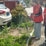 Embedded Services: Strengthening Security Networks through Poppy Inspections