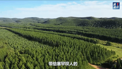 Understanding Carbon Neutrality and Its Implications for Climate Change