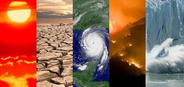Understanding Carbon Neutrality and Its Implications for Climate Change