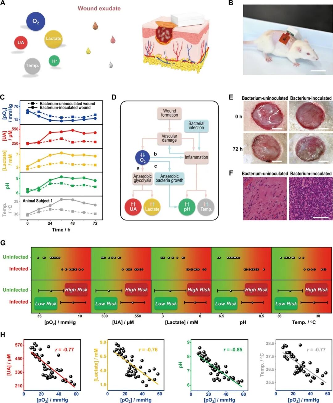 ACS Nano: A Fully Integrated Wearable Biomimetic Microfluidic Wound Tracker for In Situ Dynamic Monitoring of Wound Exudate Oxygen