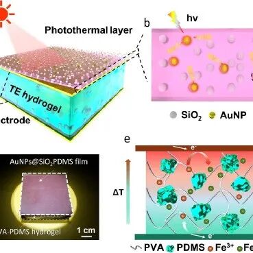 Fatigue-Free and Skin-like Supramolecular Ion-Conductive Elastomeric Interphases for Stable Lithium Metal Batteries