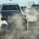 Understanding Carbon Neutrality and Its Implications for Climate Change