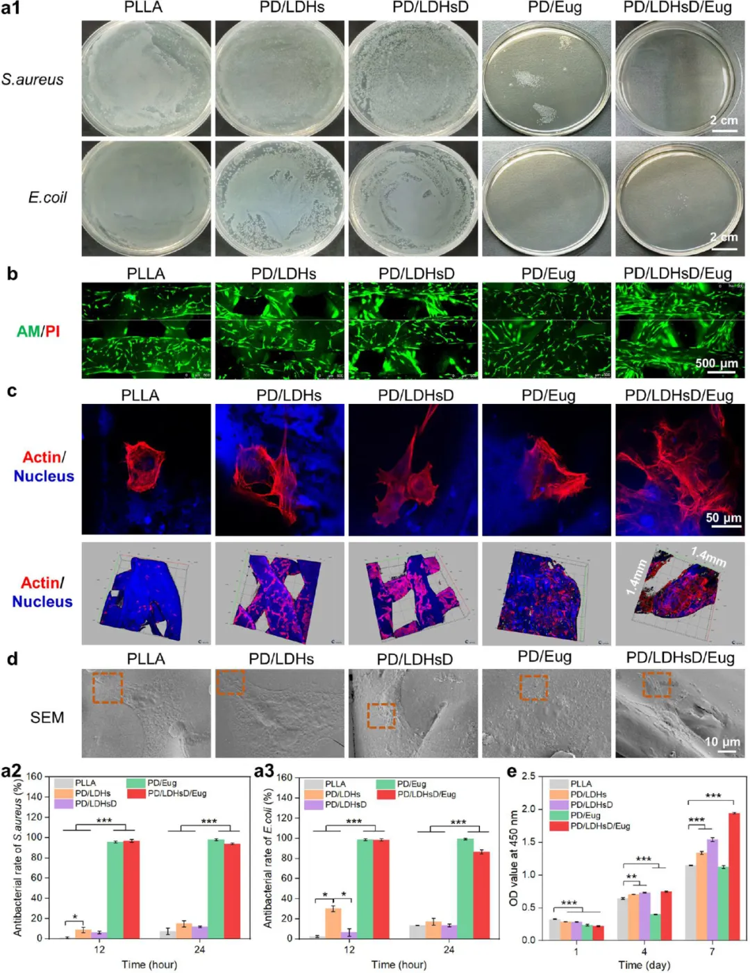 Professor Luo Binghong's Team from Jinan University Publishes in ACS Nano: Multifunctional 3D Printed Scaffolds with Spatiotemporal Drug Release Functions for Bone Regeneration