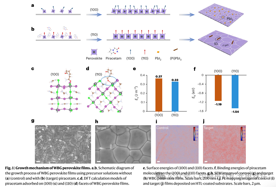 Wuhan University’s Ke Weijun in Nature Nanotechnology: Piracetam Shapes Wide-Bandgap Perovskite Crystals for Scalable Perovskite Tandems