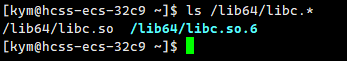 Essential Linux Kernel Insights! From 'Everything is a File' to Buffer Traps, Learn and Get a Raise After the Interview!