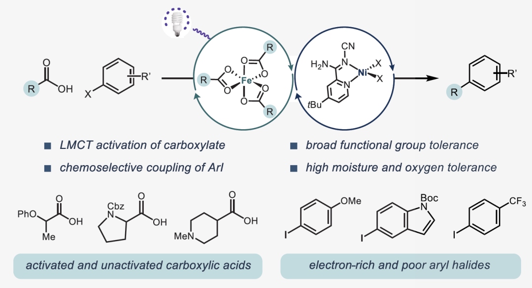 Inexpensive Fe/Ni Enables Decarboxylative Cross-Coupling Reaction!